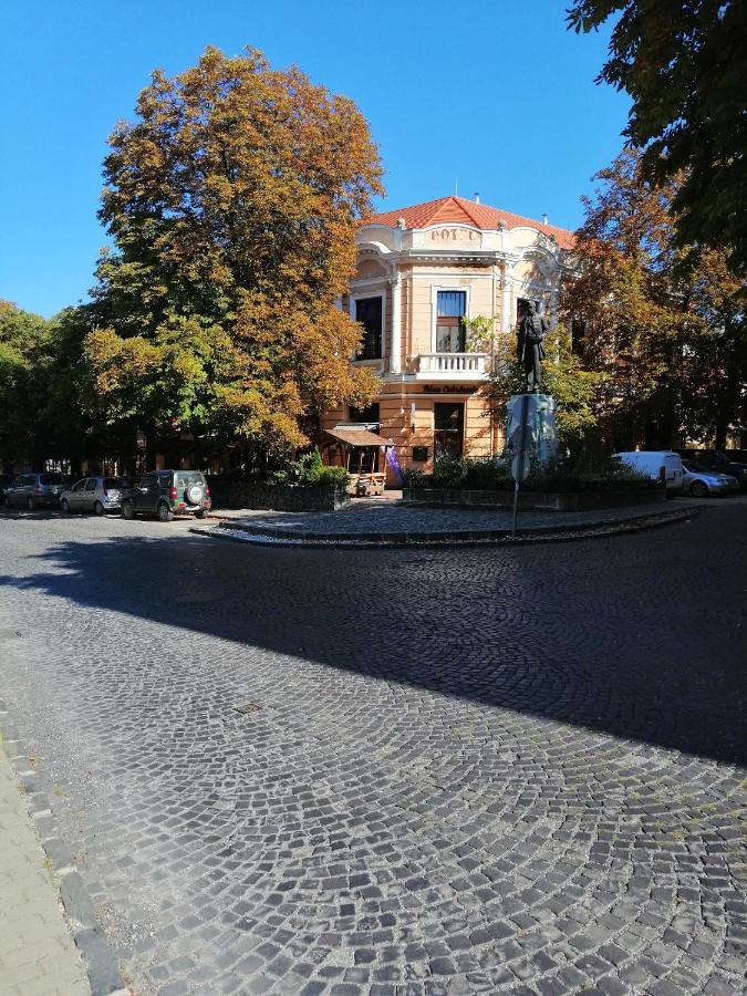 Kisfaludy Vendeghaz -Suemeg- Dış mekan fotoğraf