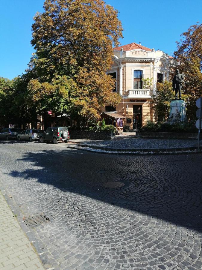 Kisfaludy Vendeghaz -Suemeg- Dış mekan fotoğraf